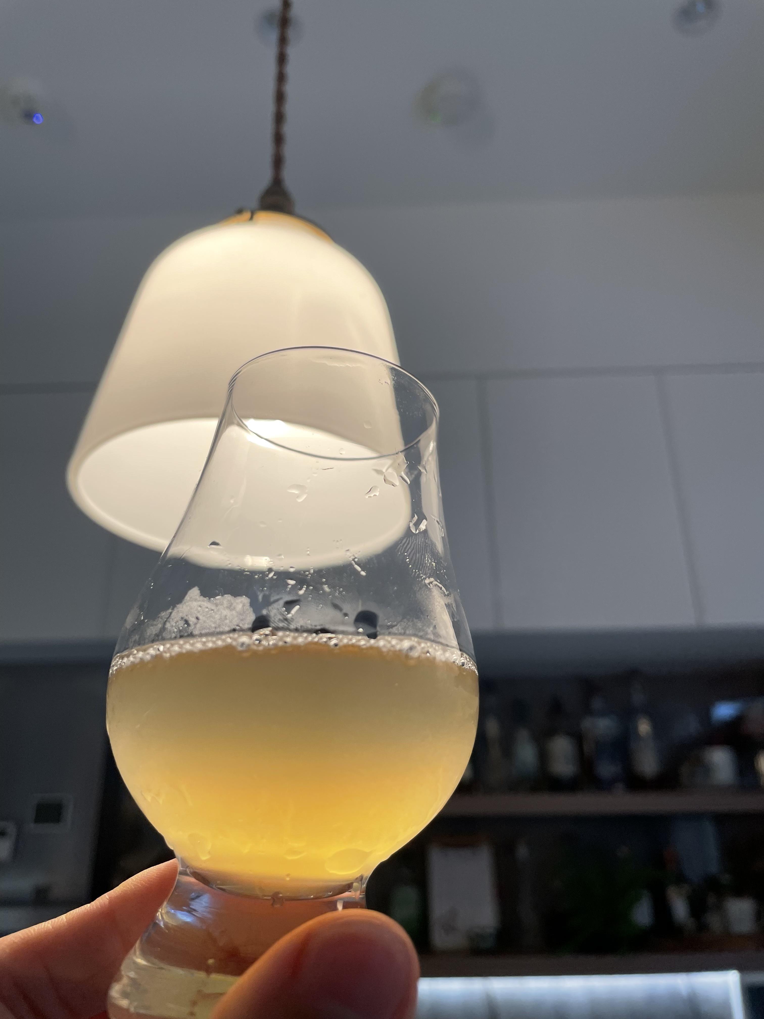 燈光下的一杯自家發酵康普茶